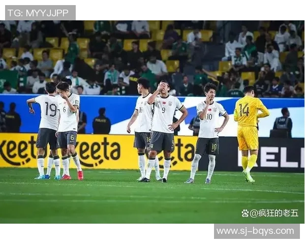 克罗地亚国足球星闪耀绿茵场带来激情与荣耀的辉煌故事